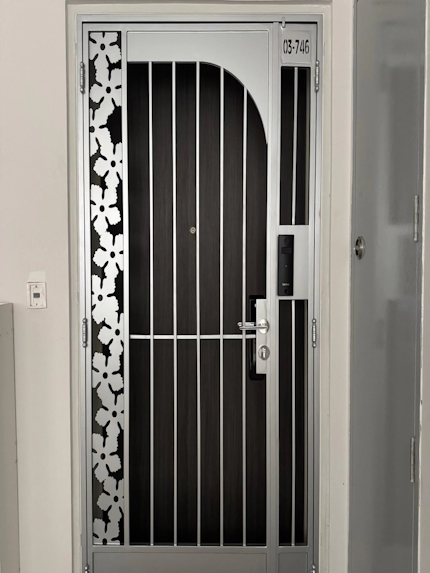 2025 Best-Design HDB Mild Steel Gates