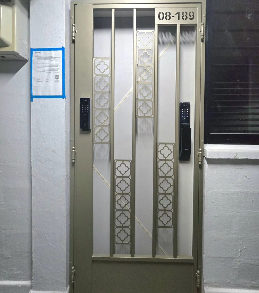 2025 Best-Design HDB Mild Steel Gates