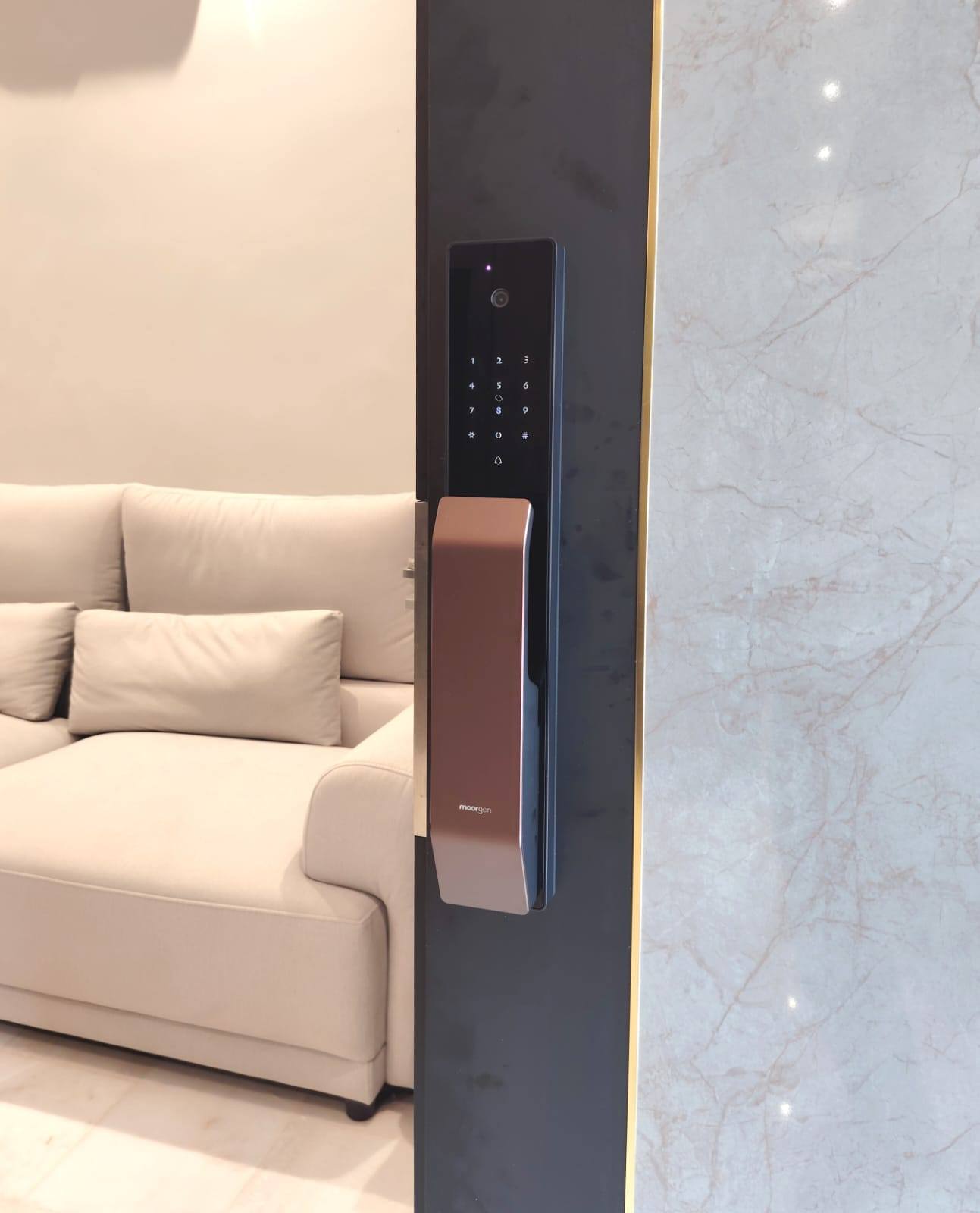 Luxurious Digital Door Lock