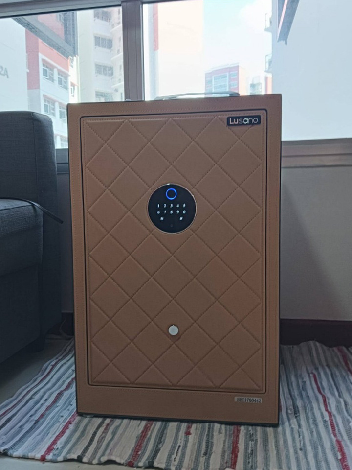Lusano Maison Leather Safe 60