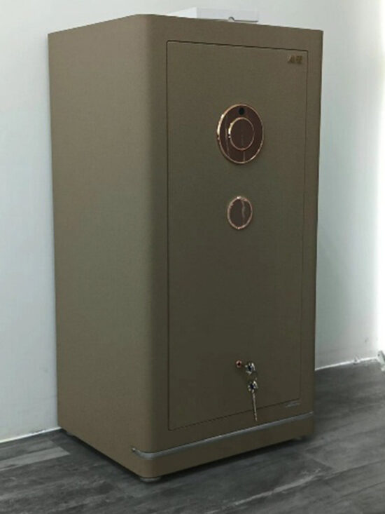 Evora Designer Leather Safe 100