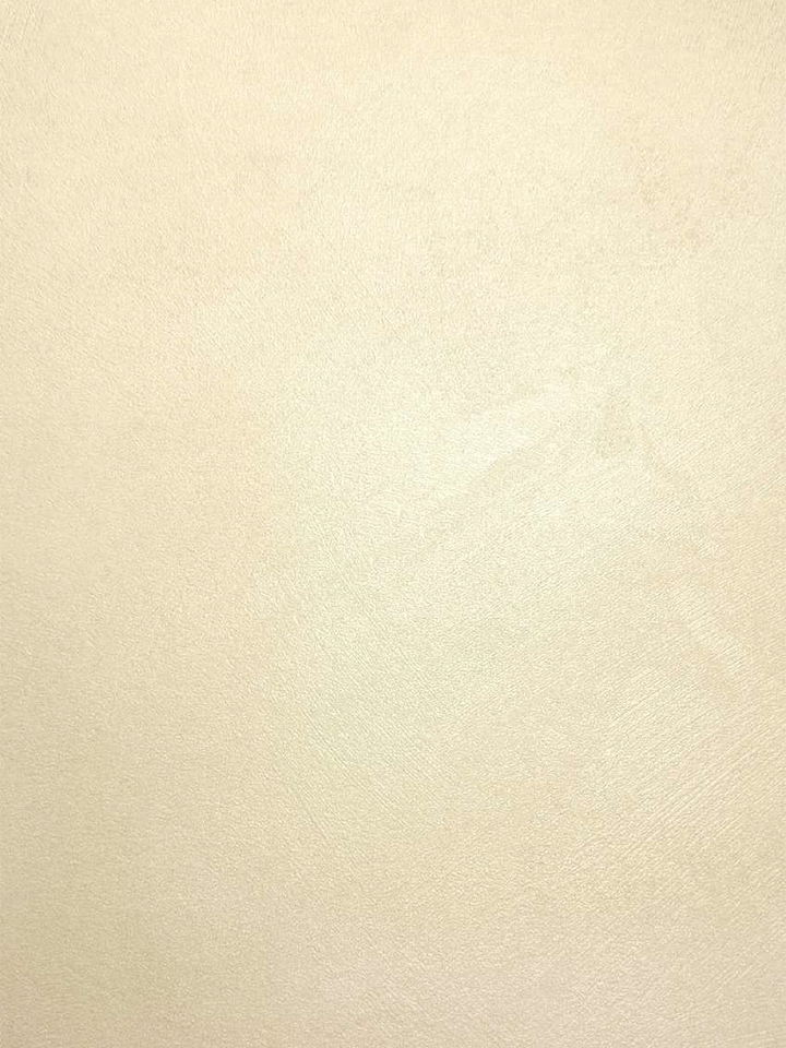 Laminate Door - LVC1514
