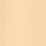 Laminate Door - LVL1521