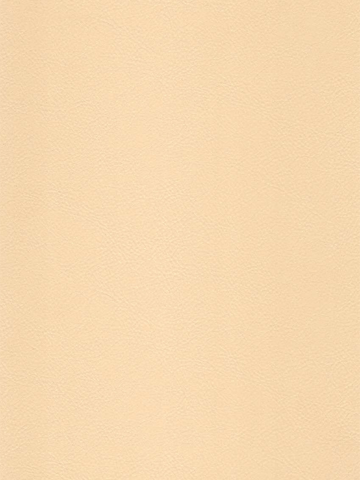 Laminate Door - LVL1521