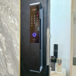 Lusano Pluto +$699.00