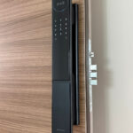 Lusano Venus +$799.00