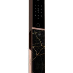 Lenovo F3 Ultra Smart Door Lock (Gold Marble)