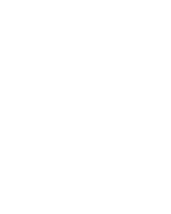 Mydigitalock - Swarovski-Logo