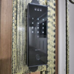 Lusano AI Gate Lock +$399.00