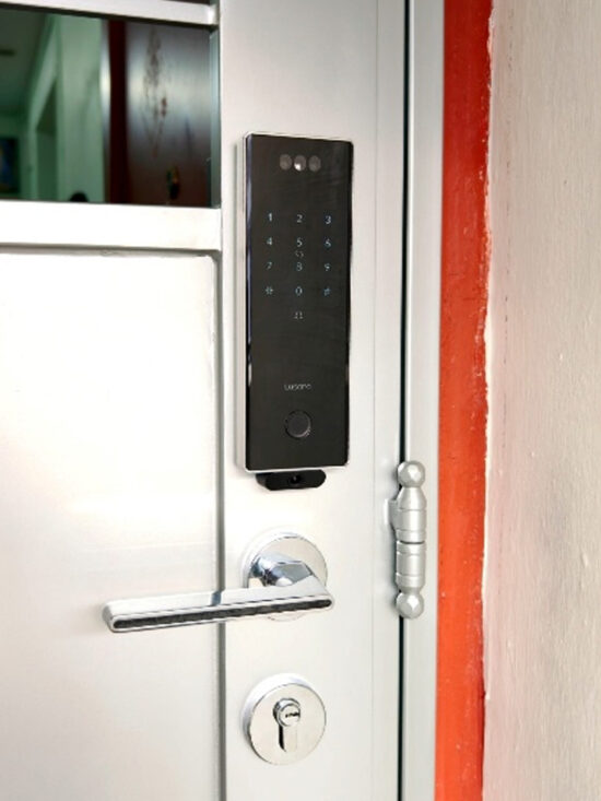 Lusano Ai Gate Lock Dual Camera - Add-On
