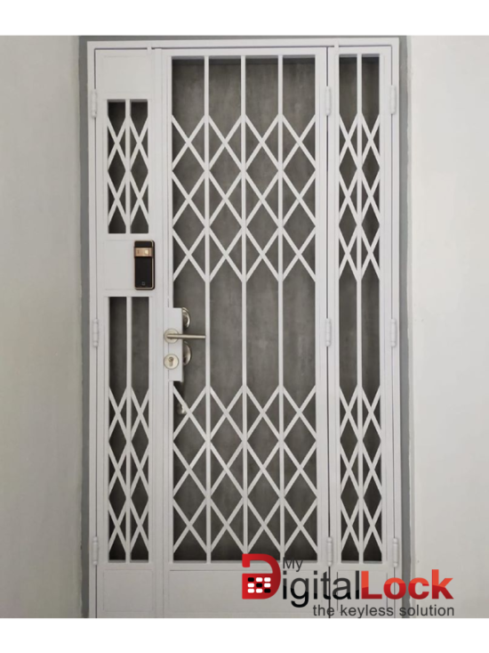 Mild Steel Interior Designer HDB Gate 4×7 feet