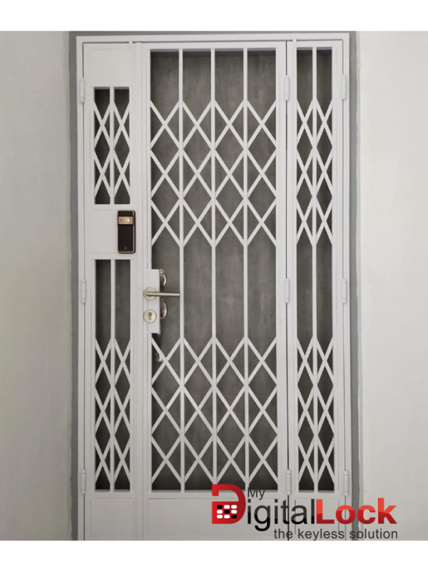 Mild Steel Interior Designer HDB Gate 4×7 feet