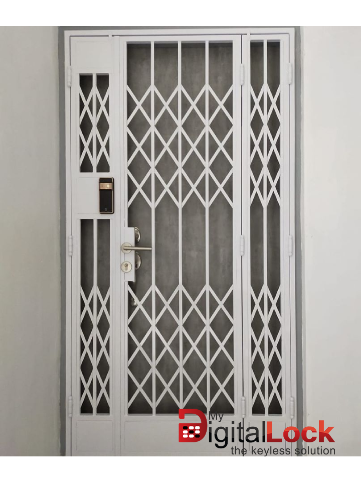 Mild Steel Interior Designer HDB Gate 4×7 feet