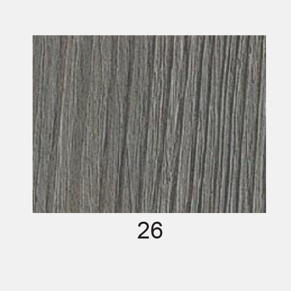 PVC HDB Toilet Door - PHENOLIC