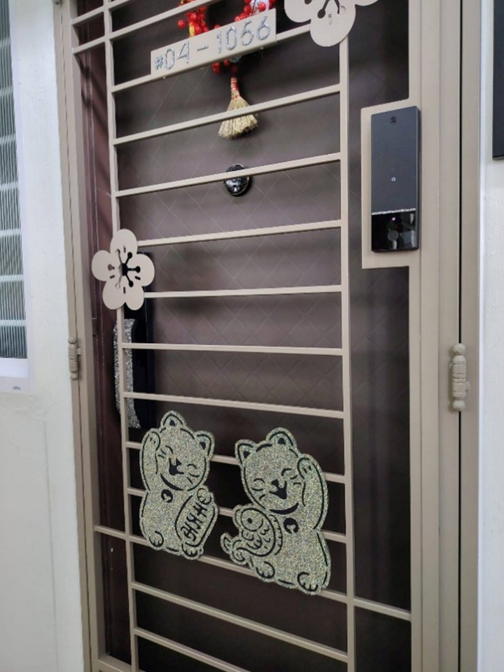 Most Luxurious Digital Lock and Gate Bundle